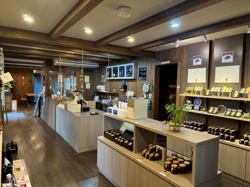 ブルーベリー農園 森の畑