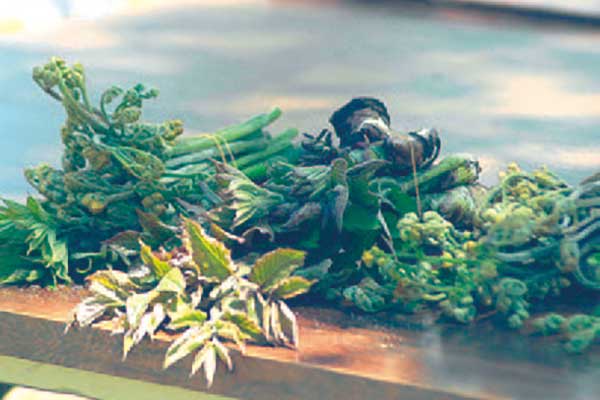 火起こし・野外炊飯体験