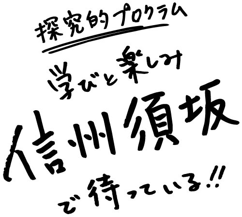 探究的プログラム