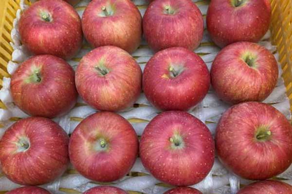 マルロク﨤町遊覧園