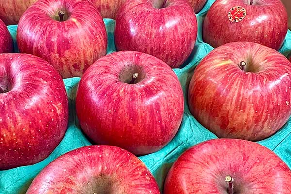 フルーツのみやがわ