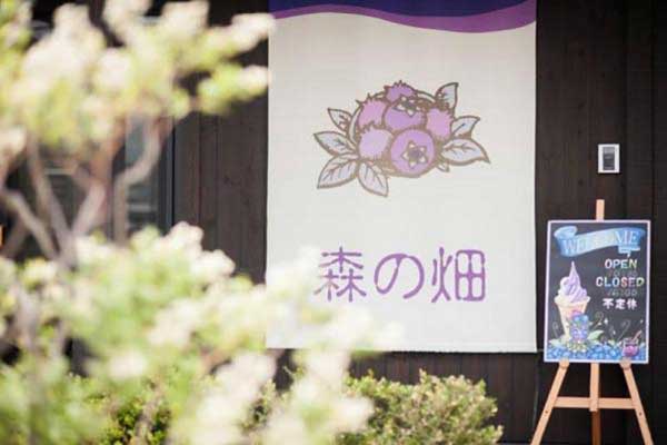 ブルーベリー農園「森の畑」