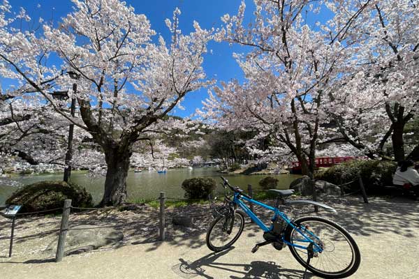 (2)サイクルツーリズム