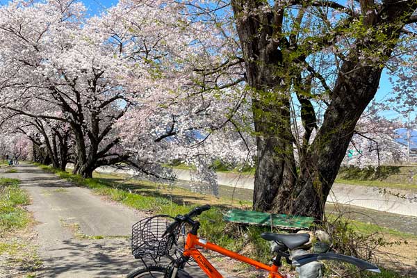 (3)サイクルツーリズム
