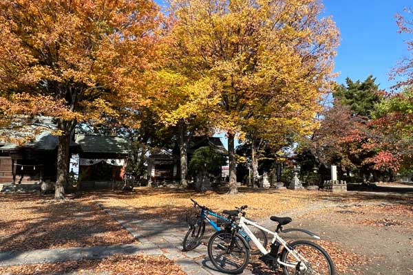 (11)サイクルツーリズム