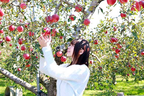(9)リンゴ狩り