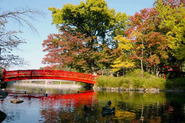 (27)臥竜公園の秋