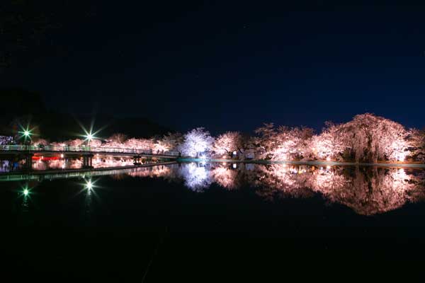 (68)臥竜公園の桜