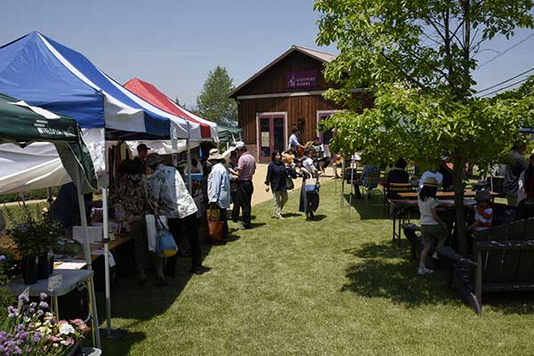 (34)楠ワイナリー