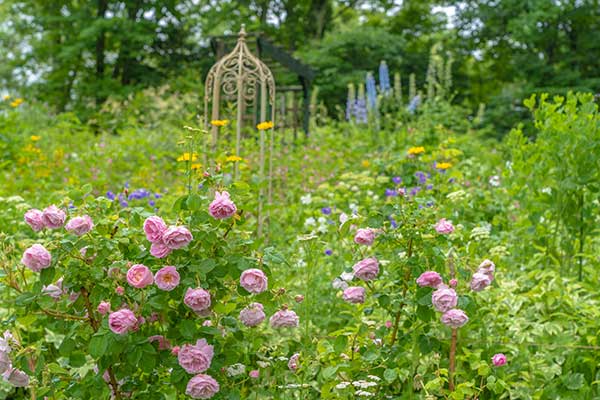 (18)オープンガーデン